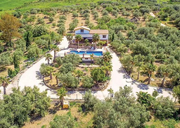 Pet Friendly In Periana